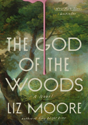 book cover of the god of the woods