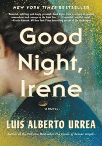 book cover of good night irene