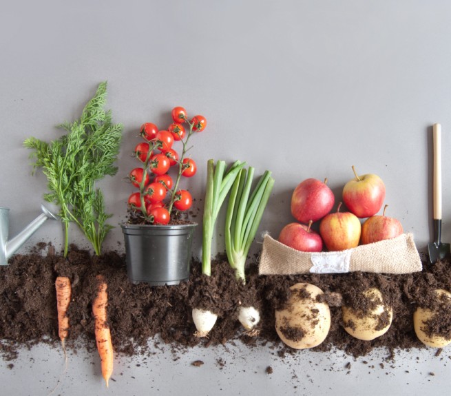 Photo illustration of grown vegetables in dirt